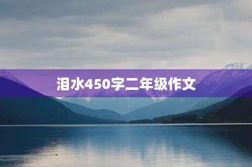 泪水450字二年级作文