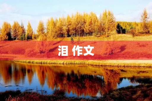 泪 作文 泪 作文