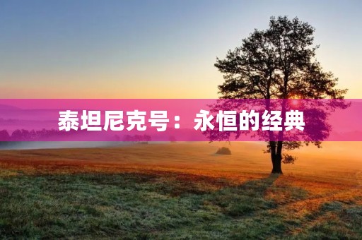 泰坦尼克号：永恒的经典