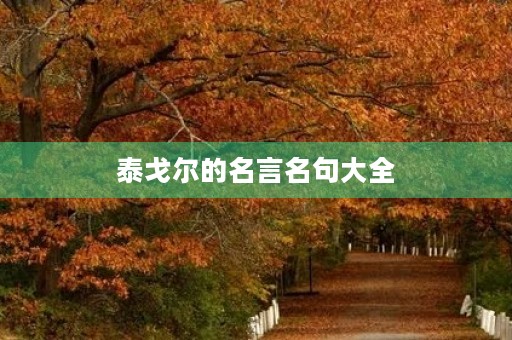 泰戈尔的名言名句大全(泰戈尔的名言名句大全小学用)