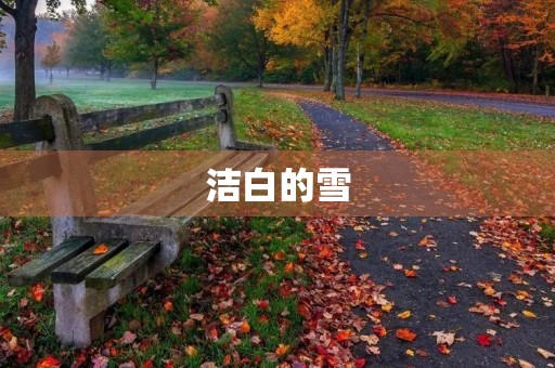 洁白的雪
