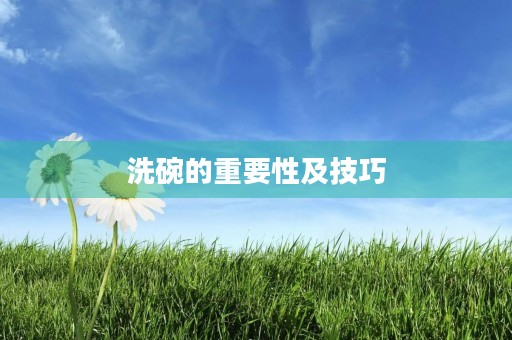 洗碗的重要性及技巧 洗碗的重要性及技巧