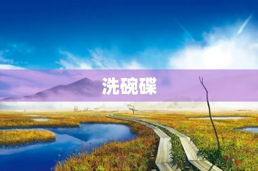洗碗碟 洗碗碟