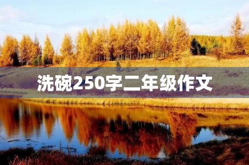 洗碗250字二年级作文