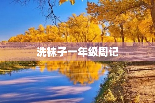 洗袜子一年级周记 洗袜子一年级周记