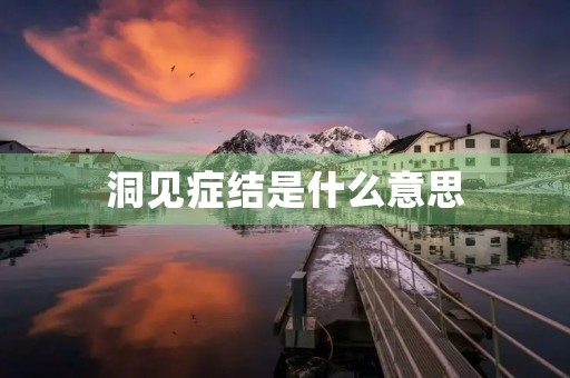 洞见症结是什么意思