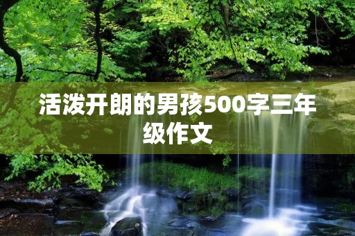 活泼开朗的男孩500字三年级作文 活泼开朗的男孩500字三年级作文