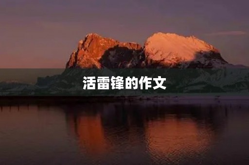 活雷锋的作文 活雷锋的作文