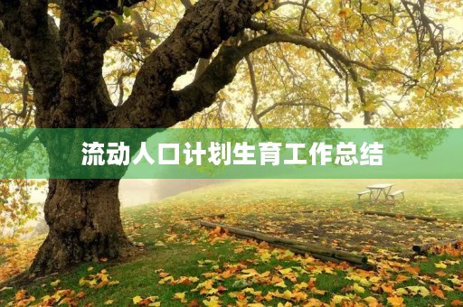 流动人口计划生育工作总结