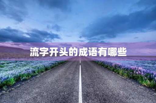 流字开头的成语有哪些