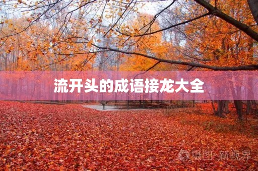 流开头的成语接龙大全
