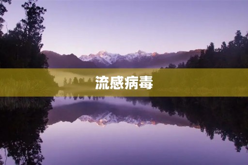 流感病毒 流感病毒