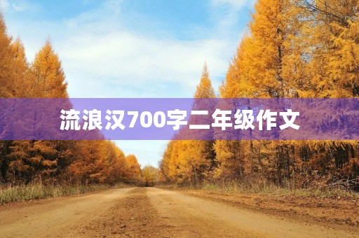 流浪汉700字二年级作文