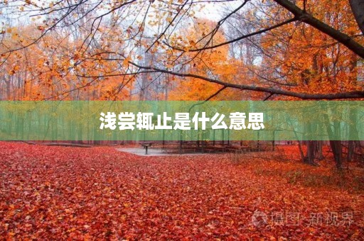 浅尝辄止是什么意思 浅尝辄止是什么意思
