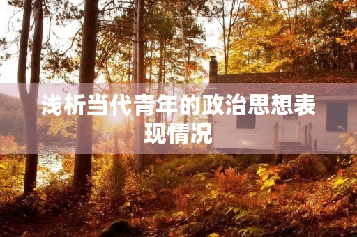 浅析当代青年的政治思想表现情况