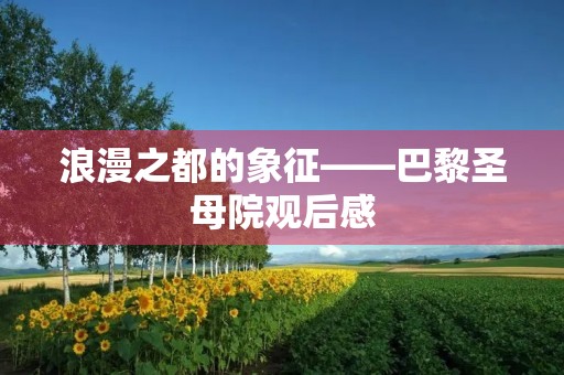 浪漫之都的象征——巴黎圣母院观后感 浪漫之都的象征——巴黎圣母院观后感