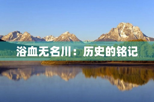 浴血无名川:历史的铭记 浴血无名川:历史的铭记