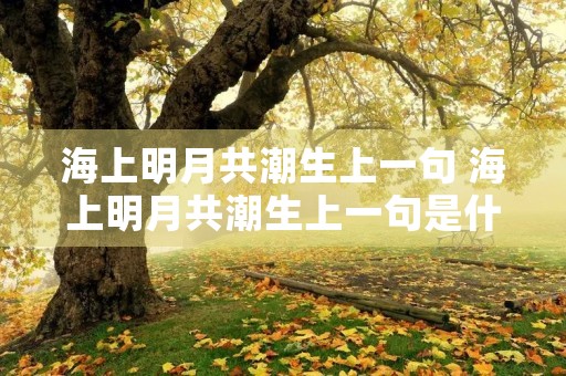 海上明月共潮生上一句 海上明月共潮生上一句是什么诗句 海上明月共潮生上一句 海上明月共潮生上一句是什么诗句