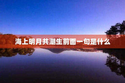 海上明月共潮生前面一句是什么(海上明月共潮生前面一句是什么的上一句)