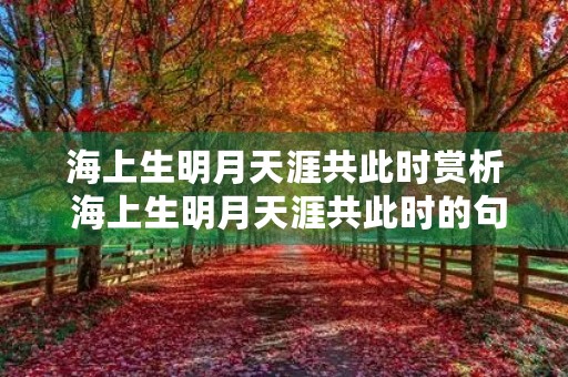 海上生明月天涯共此时赏析 海上生明月天涯共此时的句意 海上生明月天涯共此时赏析 海上生明月天涯共此时的句意