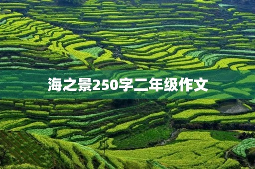 海之景250字二年级作文