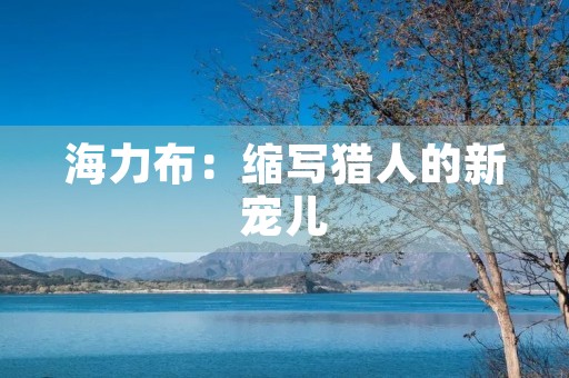 海力布：缩写猎人的新宠儿