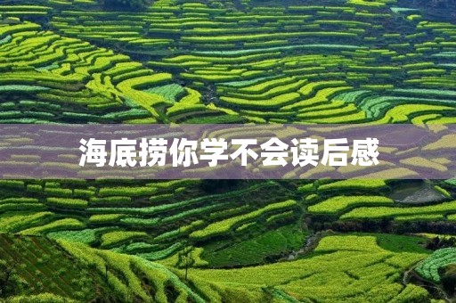 海底捞你学不会读后感