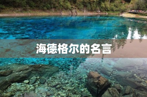 海德格尔的名言,海德格尔的名言语言是人存在的家园 海德格尔的名言,海德格尔的名言语言是人存在的家园