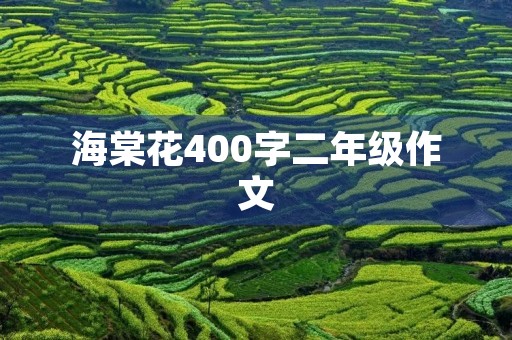 海棠花400字二年级作文