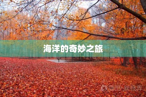海洋的奇妙之旅 海洋的奇妙之旅