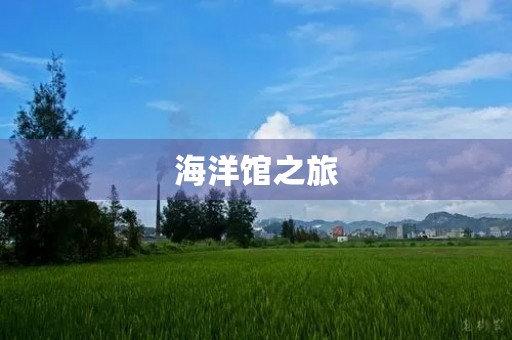 海洋馆之旅 海洋馆之旅