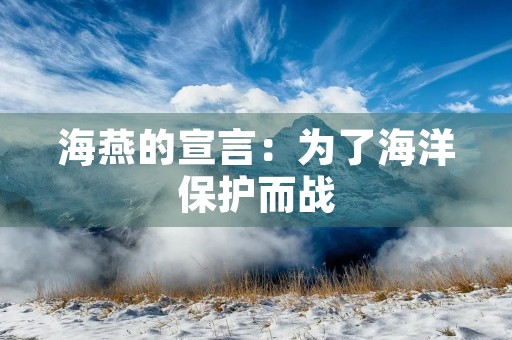海燕的宣言:为了海洋保护而战 海燕的宣言:为了海洋保护而战