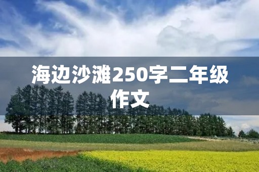 海边沙滩250字二年级作文
