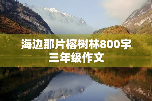 海边那片榕树林800字三年级作文