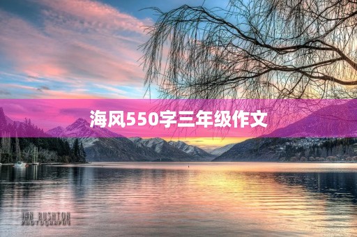 海风550字三年级作文