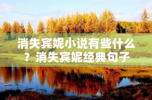 消失宾妮小说有些什么？消失宾妮经典句子