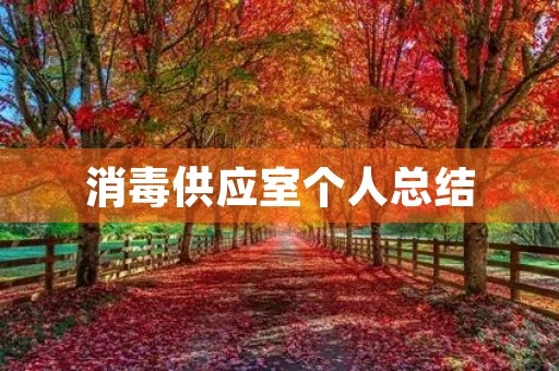 消毒供应室个人总结