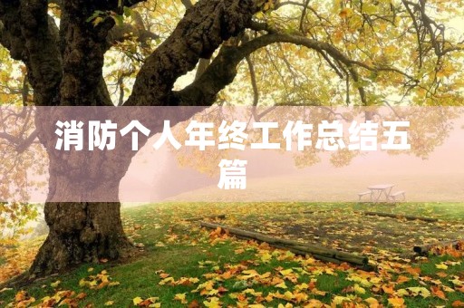 消防个人年终工作总结五篇
