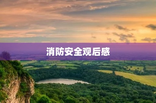 消防安全观后感 消防安全观后感