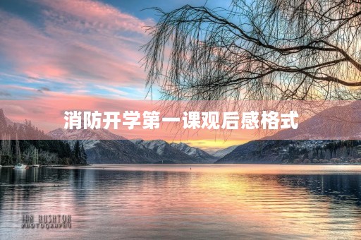 消防开学第一课观后感格式