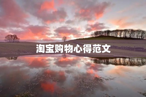 淘宝购物心得范文