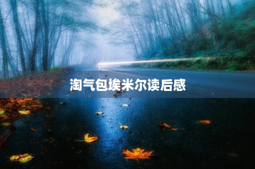 淘气包埃米尔读后感