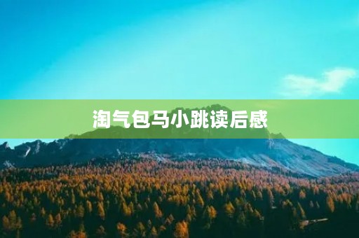 淘气包马小跳读后感 淘气包马小跳读后感