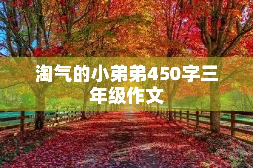 淘气的小弟弟450字三年级作文