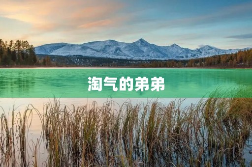 淘气的弟弟 淘气的弟弟