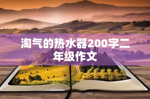 淘气的热水器200字二年级作文