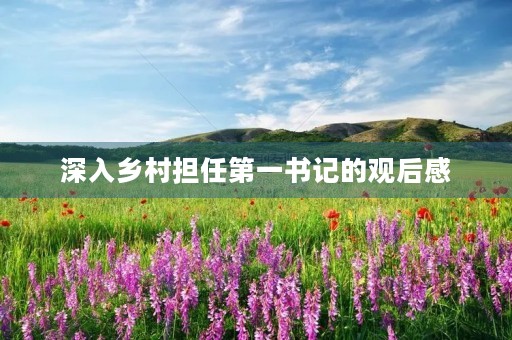 深入乡村担任第一书记的观后感