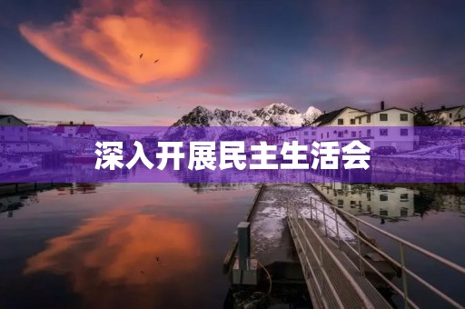 深入开展民主生活会，充分发表意见建议，推动工作落实