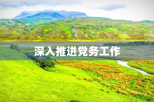 深入推进党务工作，助力组织建设