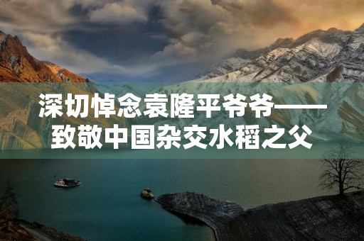 深切悼念袁隆平爷爷——致敬中国杂交水稻之父 深切悼念袁隆平爷爷——致敬中国杂交水稻之父